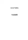 安全生产标准化专业标准