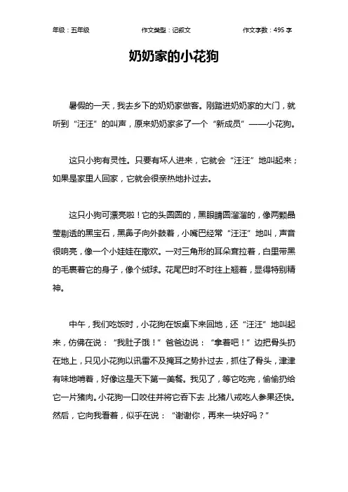 奶奶家的小花狗作文【小学五年级500字】