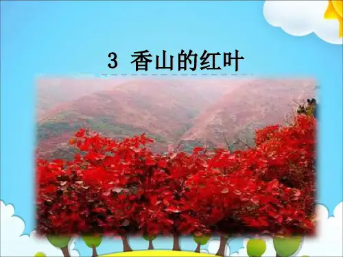 六年级上册语文课件3香山的红叶｜教科版 (共26张PPT)