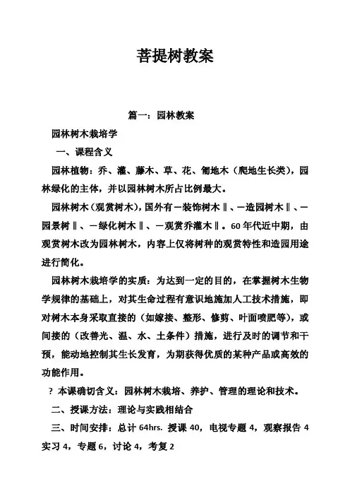 菩提树教案——精选推荐