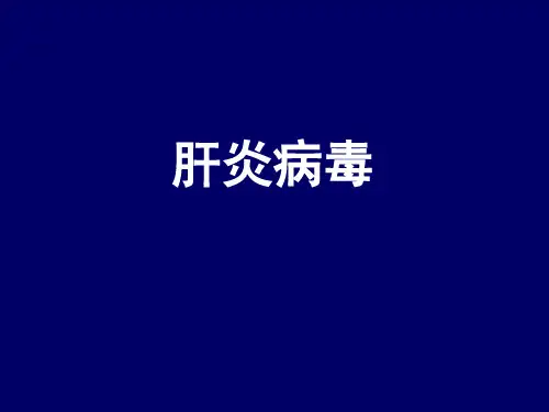 第25章 肝炎病毒_PPT幻灯片