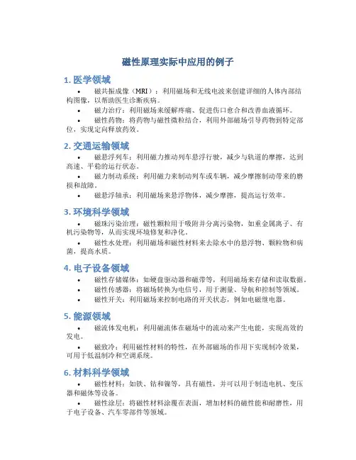 磁性原理实际中应用的例子
