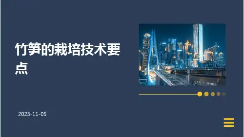 竹笋的栽培技术要点