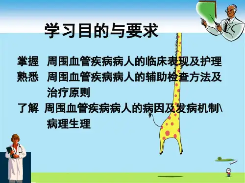 周围血管疾病患者护理PPT课件
