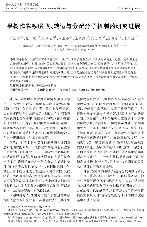 果树作物铁吸收、转运与分配分子机制的研究进展