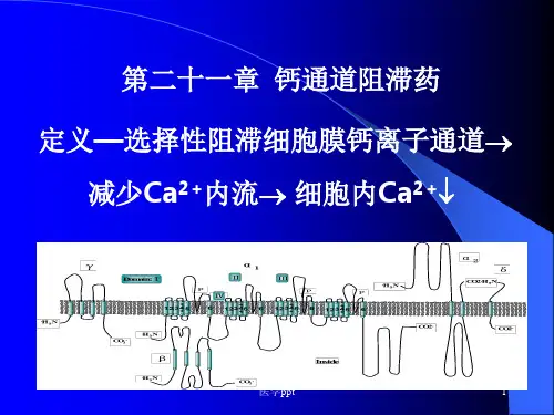 药理学第21章钙通道阻滞药