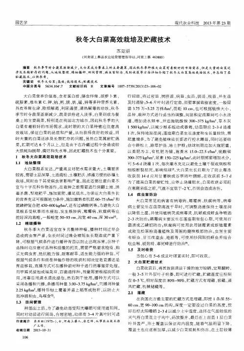 秋冬大白菜高效栽培及贮藏技术