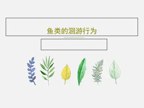 鱼类的洄游行为20页PPT