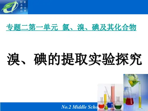 苏教版高中化学必修一1.2《溴、碘的提取实验探究》优秀课件(22张)