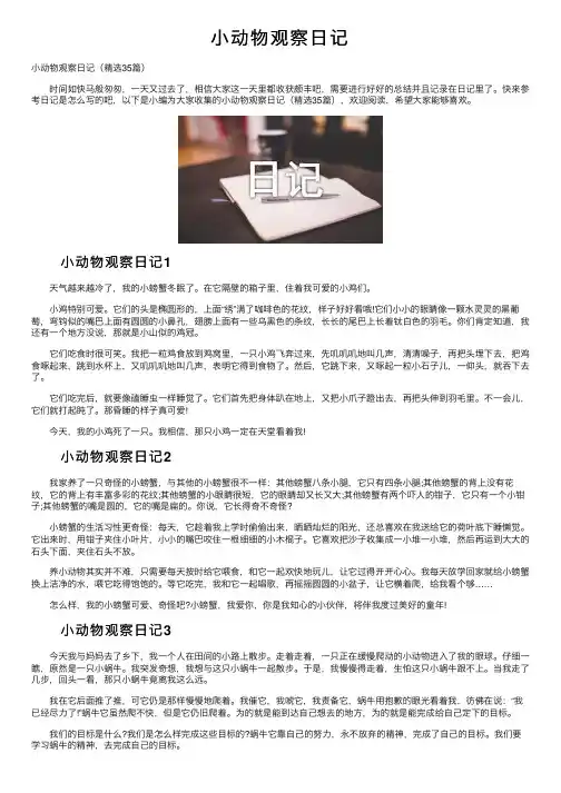 小动物观察日记