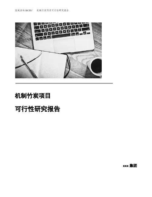 机制竹炭项目可行性研究报告