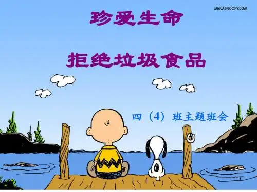 珍爱生命_拒绝垃圾食品主题班会PPT课件