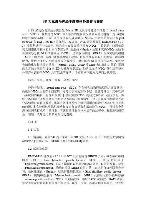 SD大鼠海马神经干细胞体外培养与鉴定