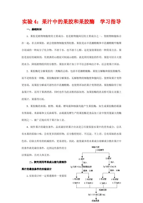高中生物 实验4 果汁中的果胶和果胶酶学习指导 浙科版选修1