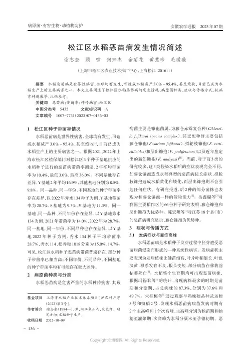 松江区水稻恶苗病发生情况简述