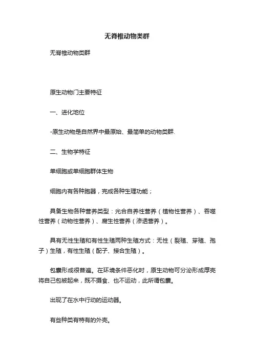 无脊椎动物类群