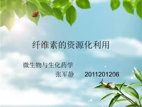 纤维素的资源化利用