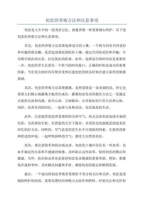 初恋的养殖方法和注意事项