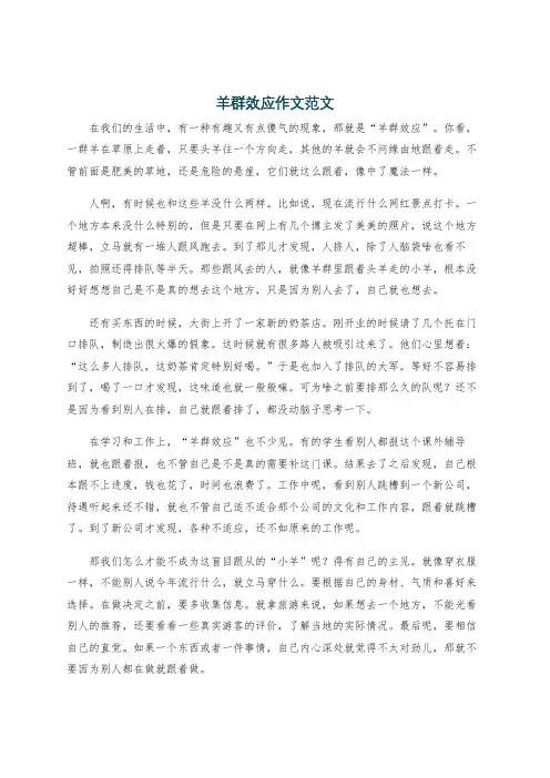 羊群效应作文范文