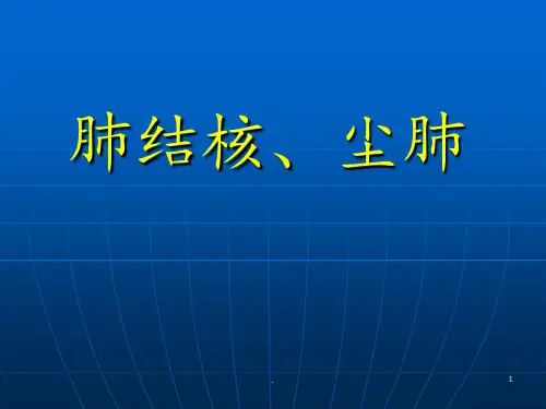 肺结核、尘肺PPT课件