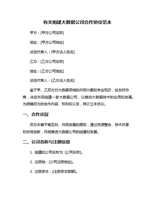 有关组建大数据公司合作协议范本