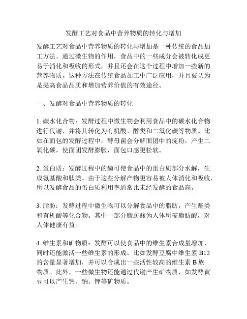 发酵工艺对食品中营养物质的转化与增加