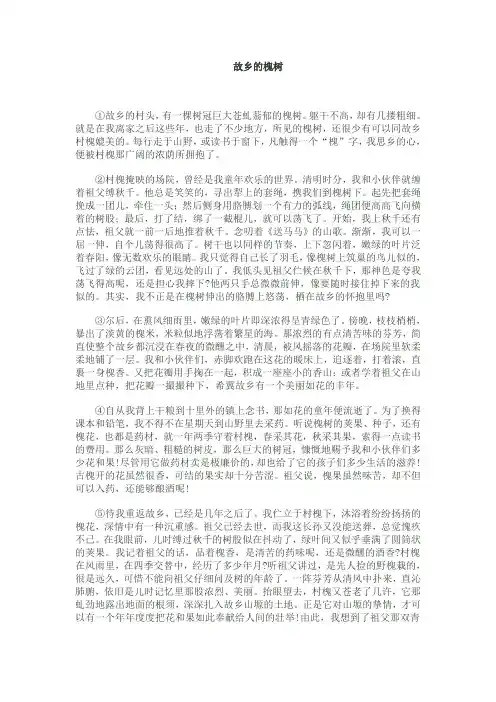 故乡的槐树