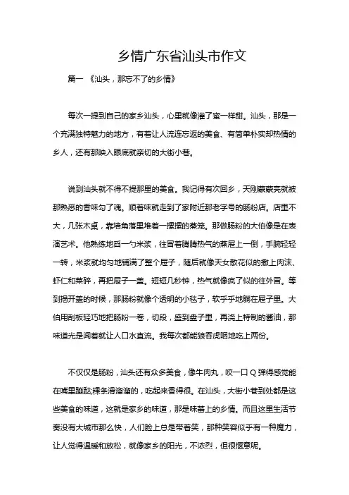 乡情广东省汕头市作文