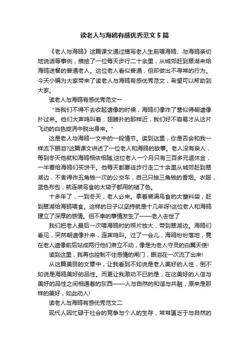 读老人与海鸥有感优秀范文5篇
