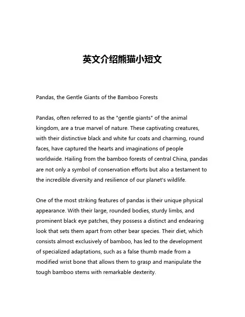 英文介绍熊猫小短文