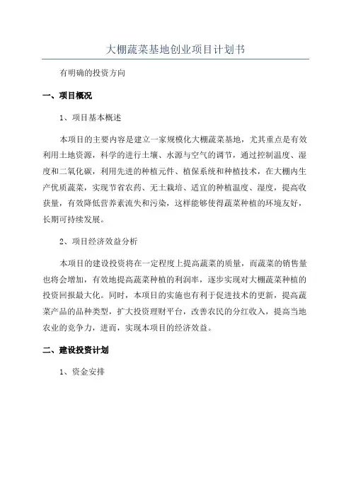 大棚蔬菜基地创业项目计划书