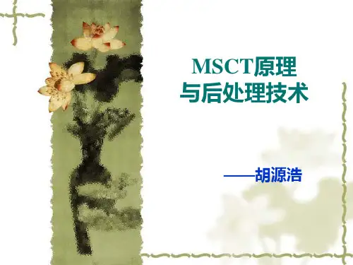 MSCT原理与后处理