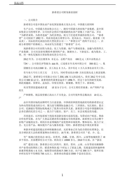 新希望集团财务报表格分析计划
