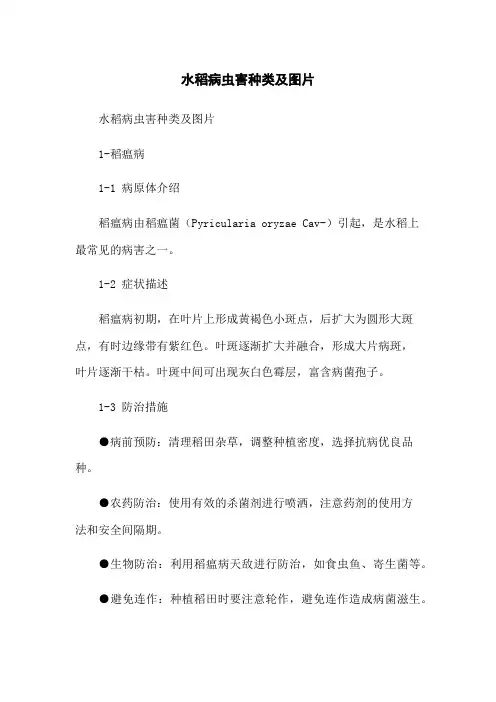 水稻病虫害种类及图片
