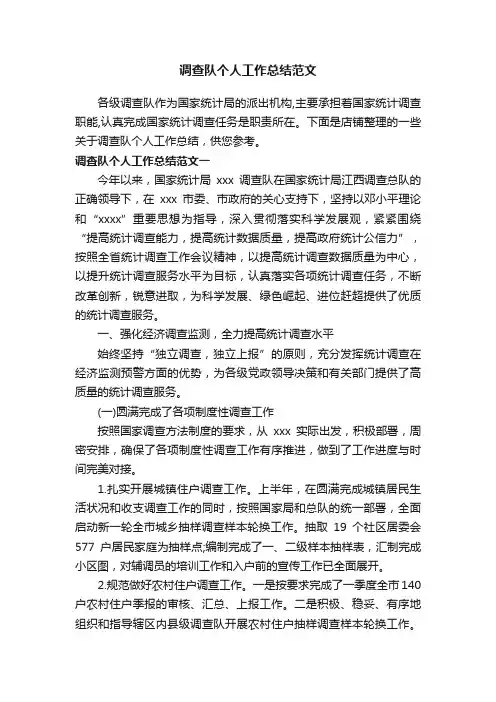 调查队个人工作总结范文