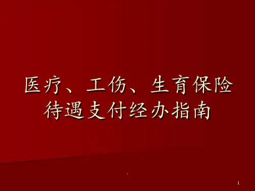 医疗、工伤、生育保险待遇支付经办指南ppt课件