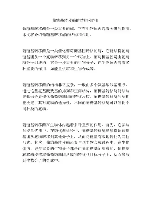 葡糖基转移酶的结构和作用