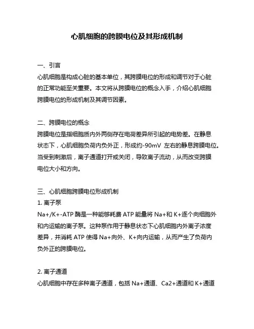 心肌细胞的跨膜电位及其形成机制