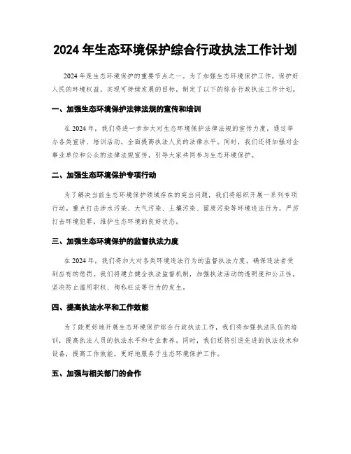2024年生态环境保护综合行政执法工作计划