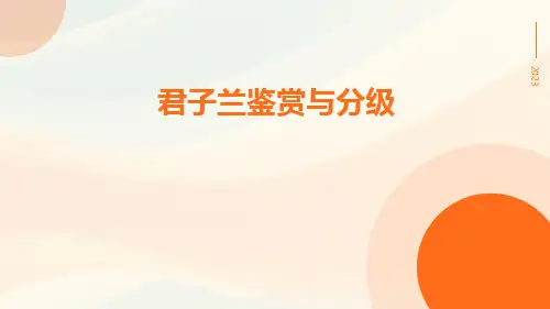 君子兰鉴赏与分级