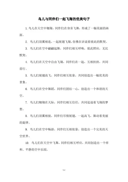 鸟儿与同伴们一起飞翔的优美句子