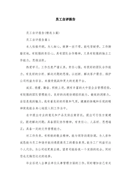员工自评报告