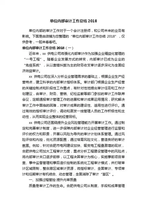 单位内部审计工作总结2018