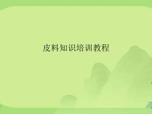 皮料知识培训教程优秀课件