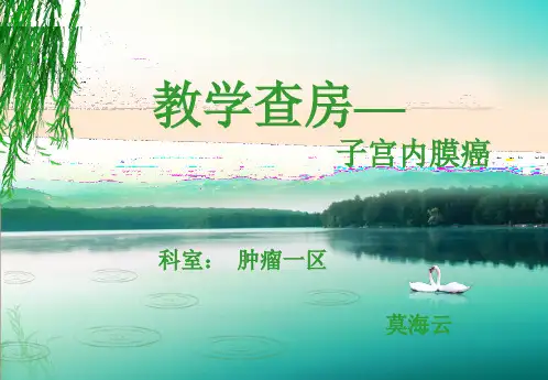 子宫肌瘤教学查房PPT