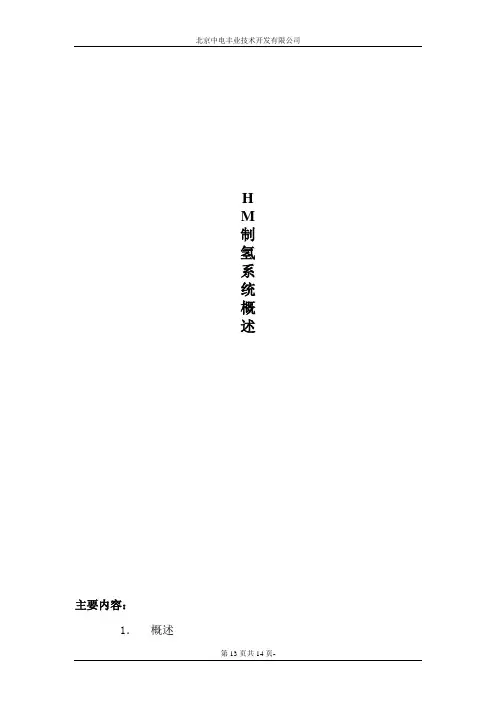 HM制氢系统解读