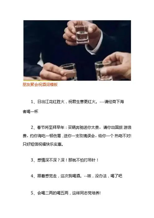 朋友聚会祝酒词模板.docx
