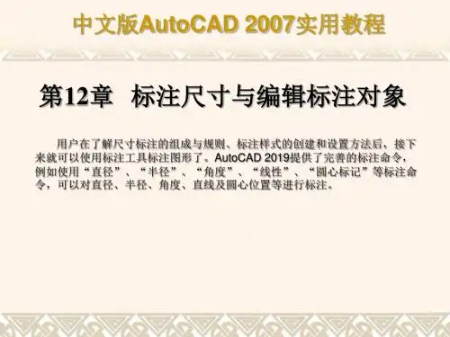 AUTOCAD2007教程标注尺寸与编辑标注对象-PPT精品文档