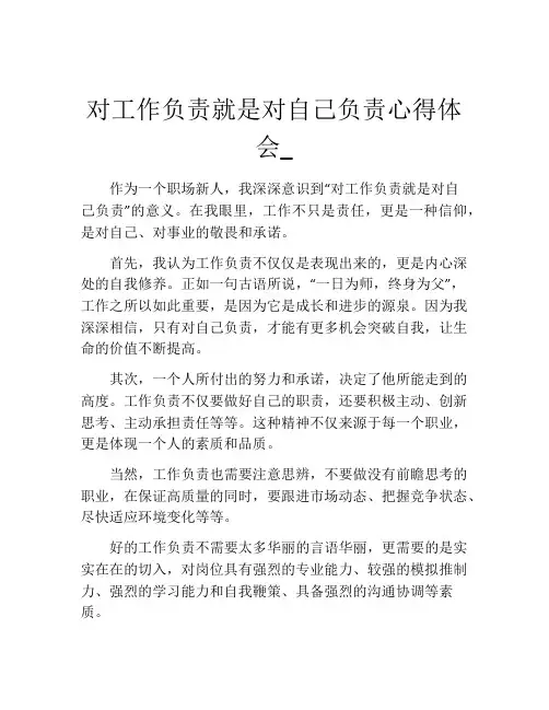 对工作负责就是对自己负责心得体会_