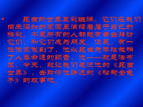 松树金龟子PPT21 苏教版